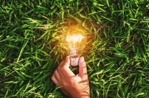 light bulb green energy