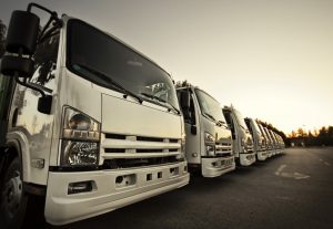 A row of trucks in sunset